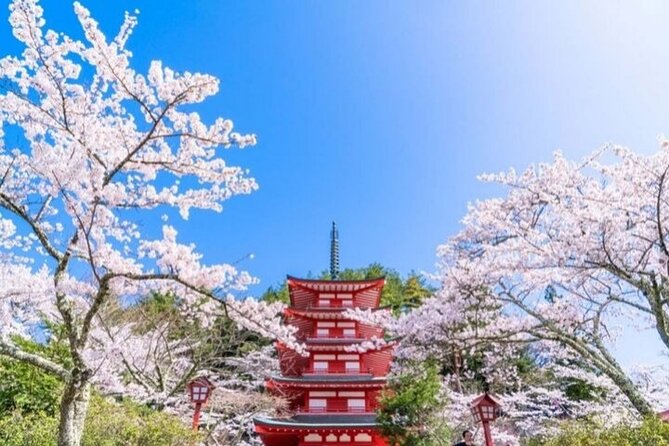 Mount Fuji 5th Station, Arakurayama, Oshino Hakkai and Hot Spring - Why this Mount Fuji day trip works