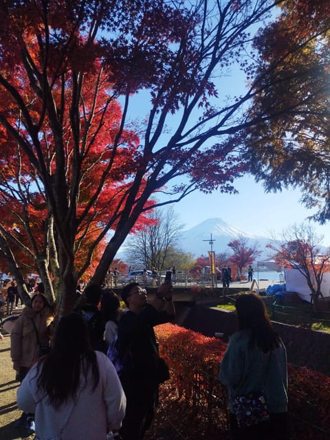Mount Fuji - Hakone & Onsen Full Day Private Tour - Ropeway views and the sulfur vents of Owakudani