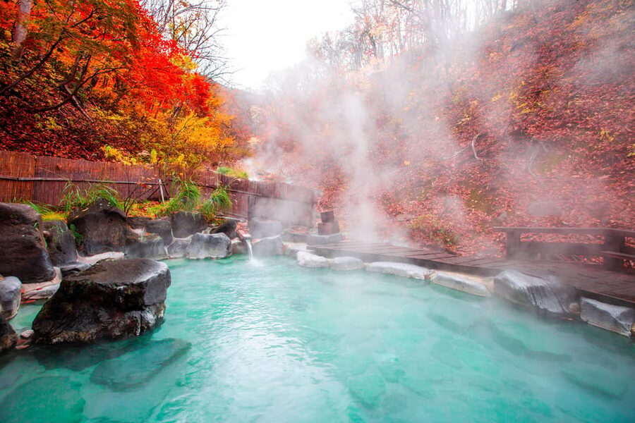Mount Fuji - Hakone & Onsen Full Day Private Tour - Starting from Tokyo or Haneda Airport