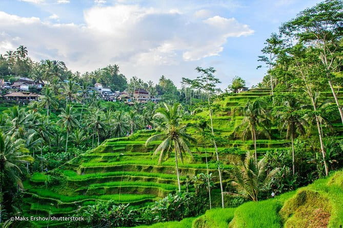 Mt Batur Sunrise Jeep & Natural Hot Spring Tour - Guides, drivers, and the human side of the tour