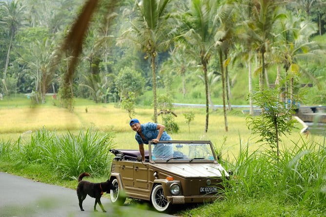 Mt Batur Sunrise Jeep & Natural Hot Spring Tour - Is $65 a fair price?
