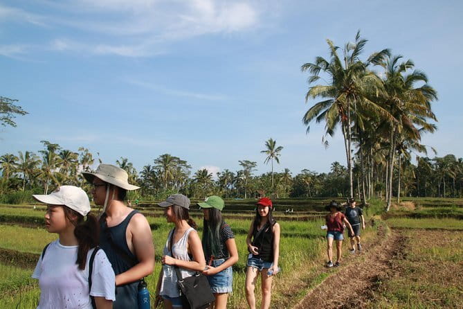 Mt Batur Sunrise Jeep & Natural Hot Spring Tour - Who should book this Mt Batur experience?