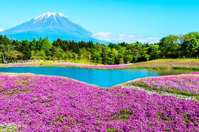 Mt. Fuji 5th, Oshino Hakkai, Onsen Full-Day Trip From Tokyo - Starting the journey from Tokyo