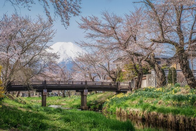 Mt. Fuji 5th Station, Oshino Hakkai and Hot Spring Day Trip - Who will enjoy this Fuji day trip most?