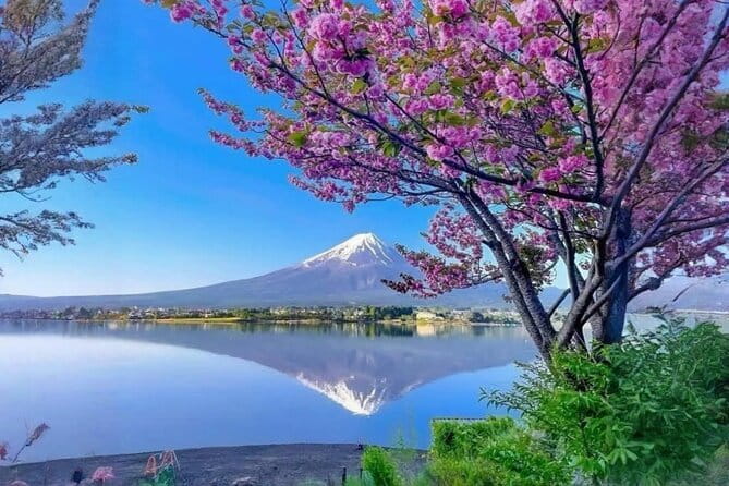 Mt. Fuji 5th Station Oshino Hakkai & Gotemba, Hot Spring Day Tour - Who will enjoy this day most?
