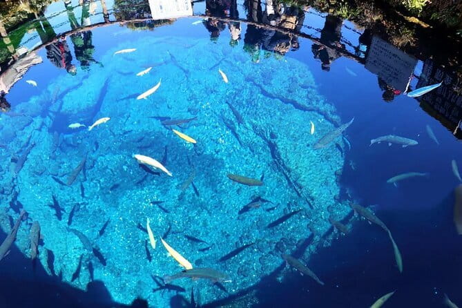 Mt. Fuji 5th Station Oshino Hakkai & Gotemba, Hot Spring Day Tour - Oshino Hakkai and its eight clear ponds