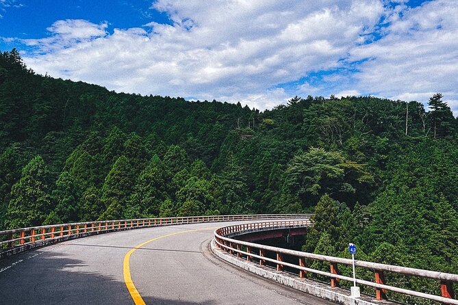Mt. Fuji, Hakone Private Tour from Tokyo - Onsen, Arts and Nature - The onsen: the day’s main change of pace