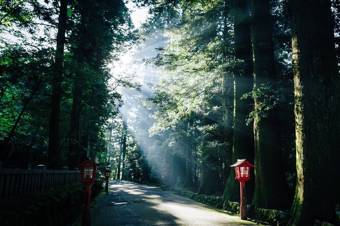 Mt. Fuji, Hakone Private Tour from Tokyo - Onsen, Arts and Nature - Lunch is flexible, but not part of the package