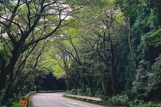 Mt. Fuji, Hakone Private Tour from Tokyo - Onsen, Arts and Nature - Art after the hot spring