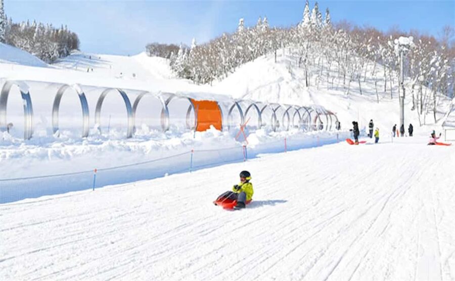 Mt. Fuji Skiing Experience- YETI Ski Resort & Onsen Day Trip - The return to Tokyo and the real time cost