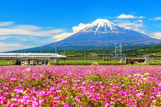 Mt. Fuji to Lake Kawaguchi, Lake Yamanaka and Onsen Day Tour - Why this Fuji day trip works from Tokyo