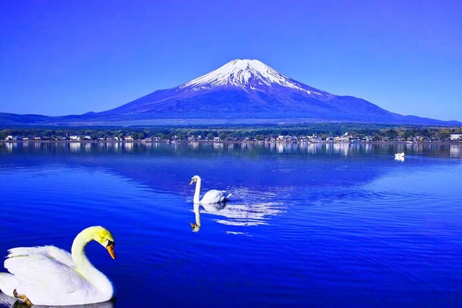 Mt. Fuji to Lake Kawaguchi, Lake Yamanaka and Onsen Day Tour - What to expect from the hot spring stop