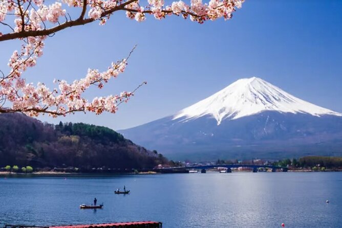 Mt. Fuji to Lake Kawaguchi, Lake Yamanaka and Onsen Day Tour - Is $115 a fair price?