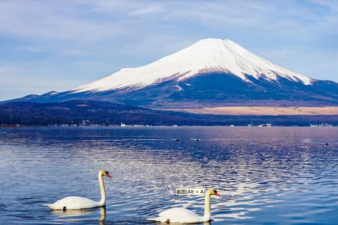 Mt. Fuji to Lake Kawaguchi, Lake Yamanaka and Onsen Day Tour - Weather, timing, and the limits of the schedule