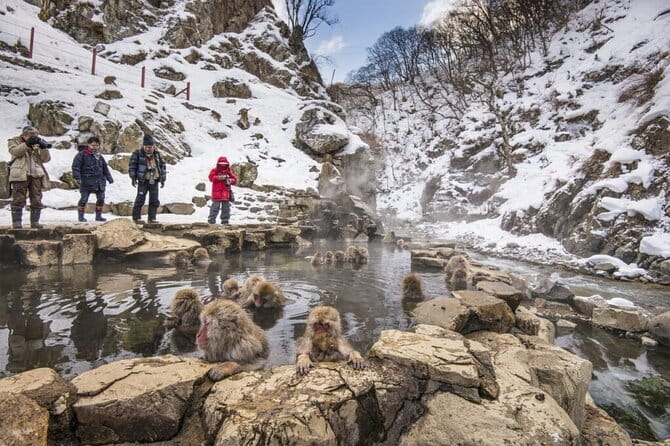 Mt. Fuji Tours to Lake Kawaguchi and Yamanaka Onsen English Guide - Mount Fuji 5th Station from April 26