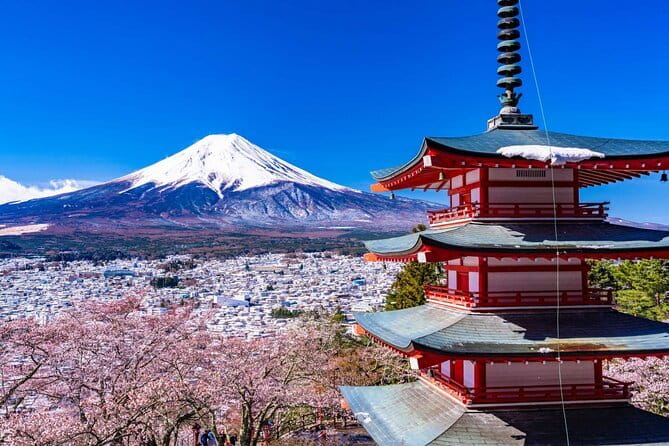 Mt. Fuji Tours to Lake Kawaguchi and Yamanaka Onsen English Guide - Practical details before you reserve