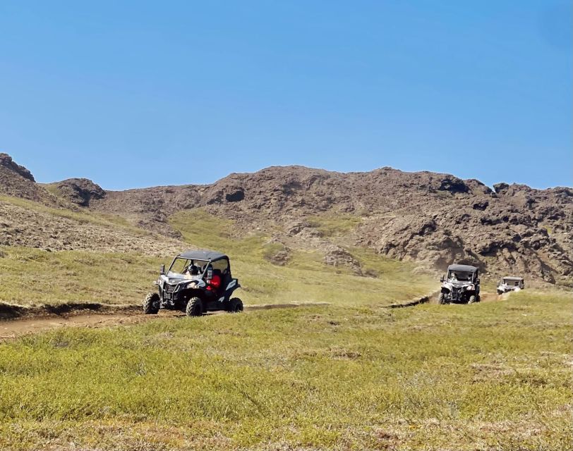 Mývatn: Lake Mývatn ATV Guided Safari Experience - Who will enjoy this tour most?