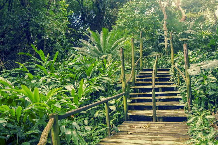 Nadi: Garden Village Hot Spring & Temple Highlights Tour - Sri Siva Subramaniya Temple, Nadi’s colorful opening