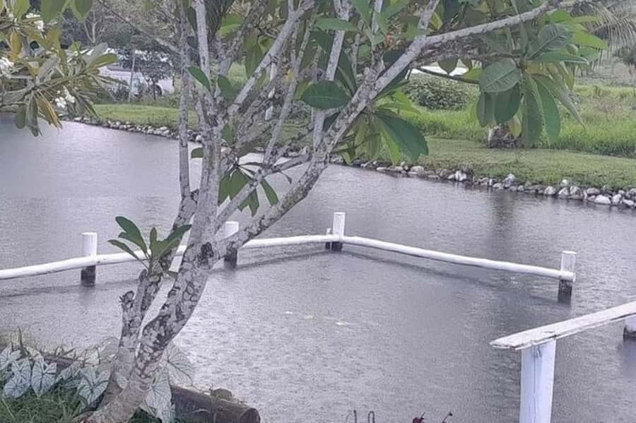 Nadi: Garden Village Hot Spring & Temple Highlights Tour - Sabeto Hot Springs and Mud Pool, the day’s star attraction