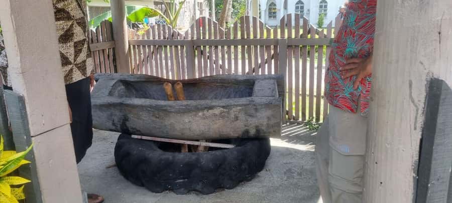 Nadi: Garden Village Hot Spring & Temple Highlights Tour - Guides, vehicles, and the pace of the day