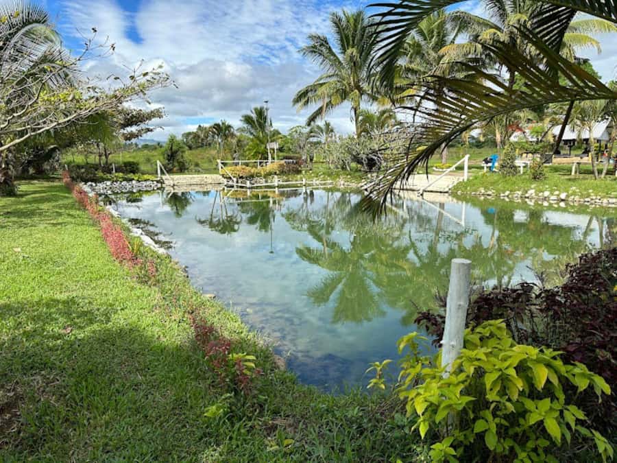 Nadi: Mud Pool and Hot Spring Private Tour - At Sabeto Hot Spring Mud Pool
