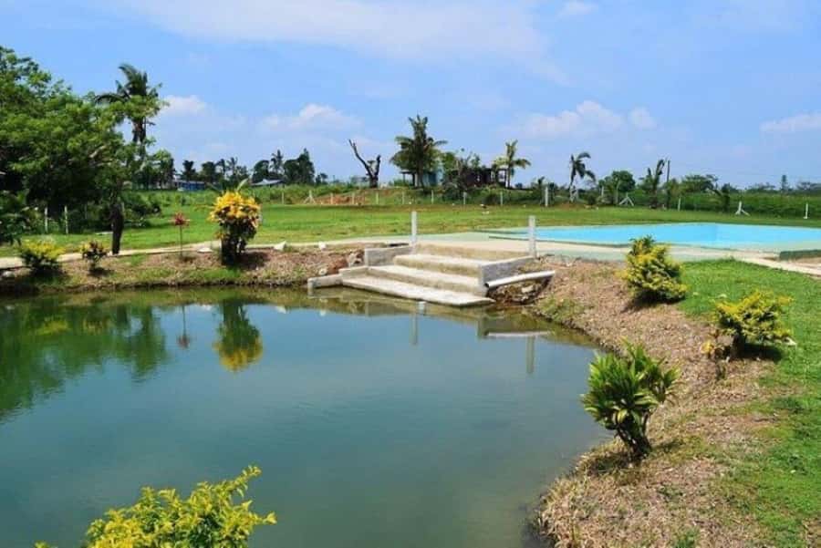 Nadi: Mud Pool and Hot Spring Private Tour - The optional massage and what it adds