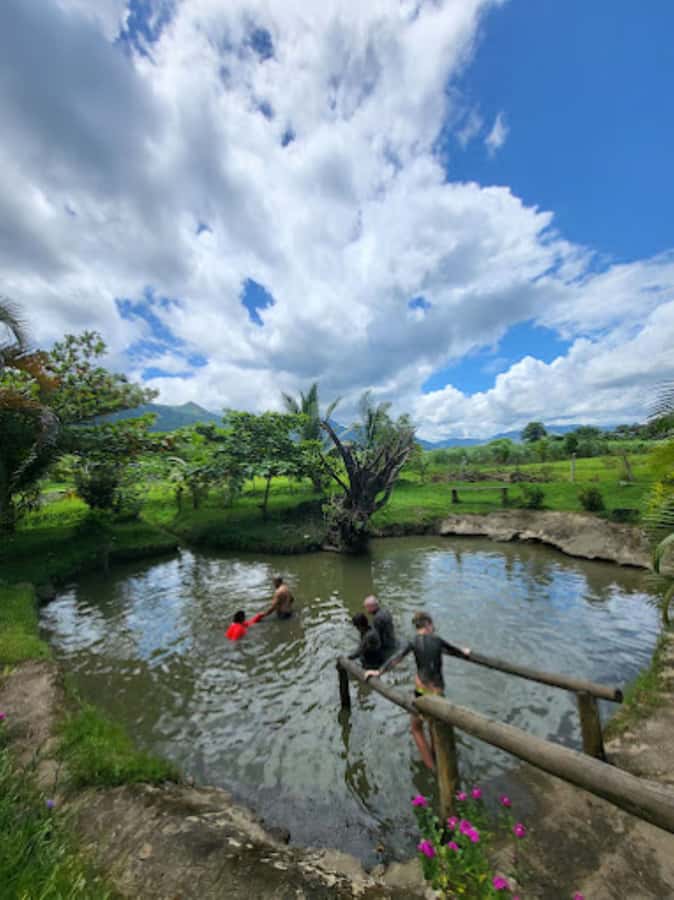 Nadi: Mud Pool and Hot Spring Private Tour - Who will enjoy this best