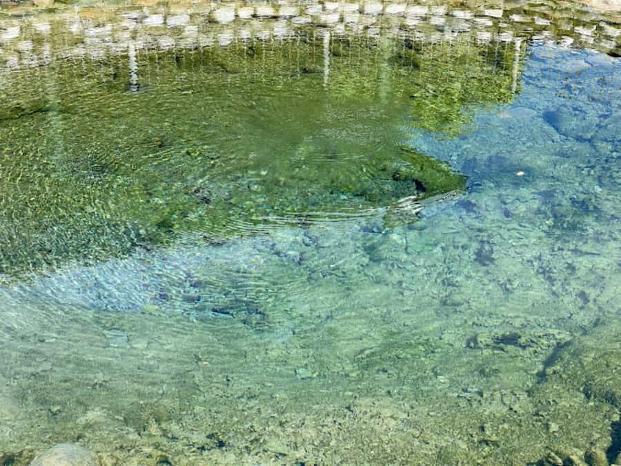 Nadi: Mud Pool and Hot Spring Private Tour - Timing, cancellations, and simple planning tips