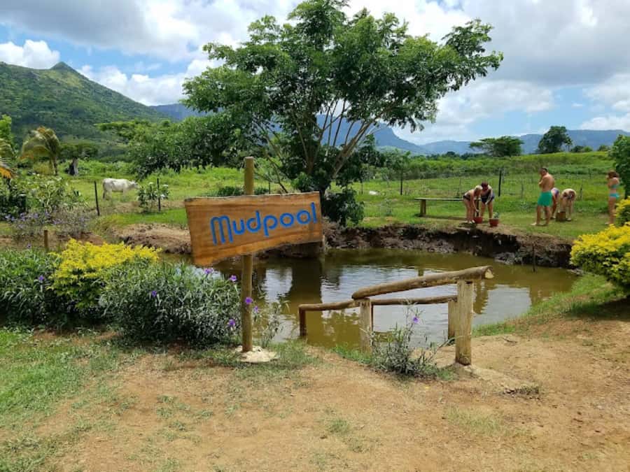 Nadi: Mud Pool and Hot Spring Private Tour - Should you book this Nadi mud pool tour?