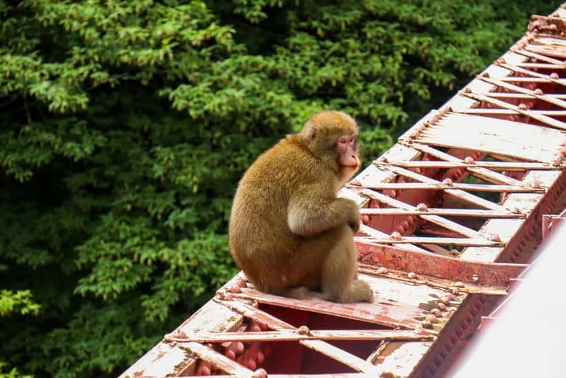 Nagano UNESCO Park: Emerald Acid Lake & Ghibli Onsen Town - Practical details before you reserve