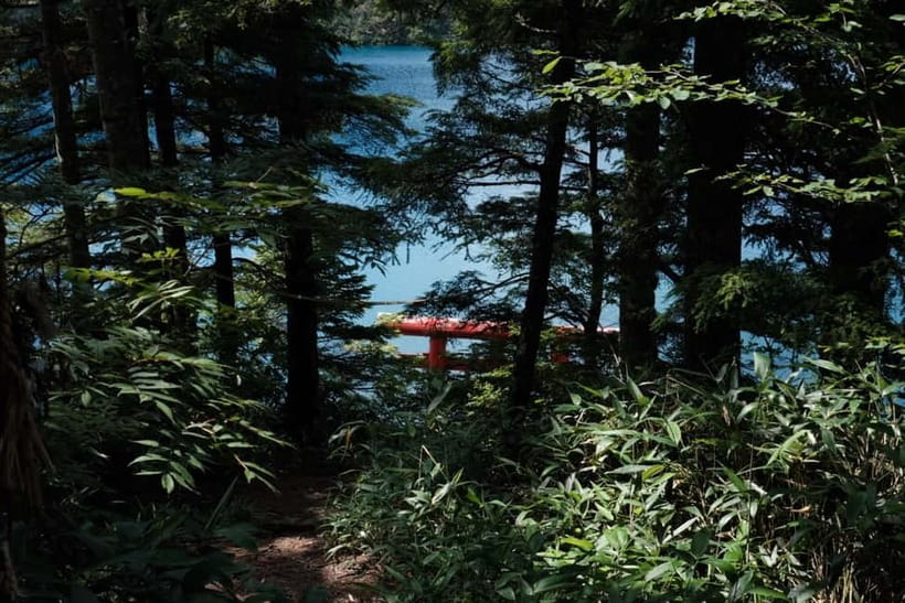 Nagano UNESCO Park: Emerald Acid Lake & Ghibli Onsen Town - Should you book the Shiga Kogen and Shibu Onsen day?