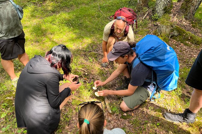 National Park Hike & Finnish Smoke Sauna Experience with Campfire Lunch - Why the smoke sauna is the real payoff