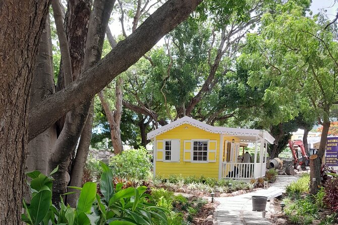 Nevis Hot Springs & Bath Village Heritage Experience - Transport, timing, and what the two-hour schedule means
