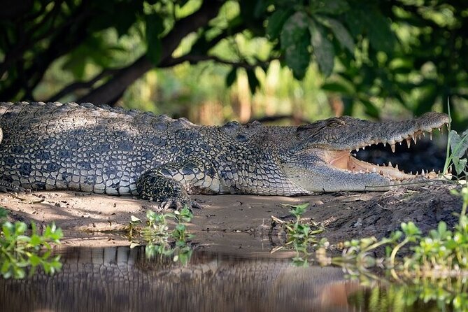 Nitmiluk National Park & Katherine Hot Springs - Full Day Tour - The 2-Gorge cruise is the heart of the day