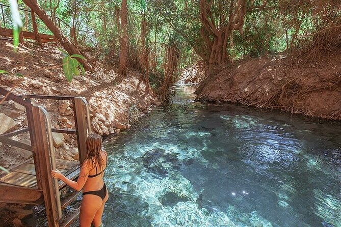 Nitmiluk National Park & Katherine Hot Springs - Full Day Tour - Katherine Hot Springs provides a quiet final stop