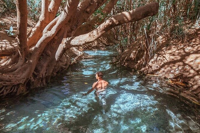 Nitmiluk National Park & Katherine Hot Springs - Full Day Tour - Should you book the Nitmiluk and Katherine day tour?