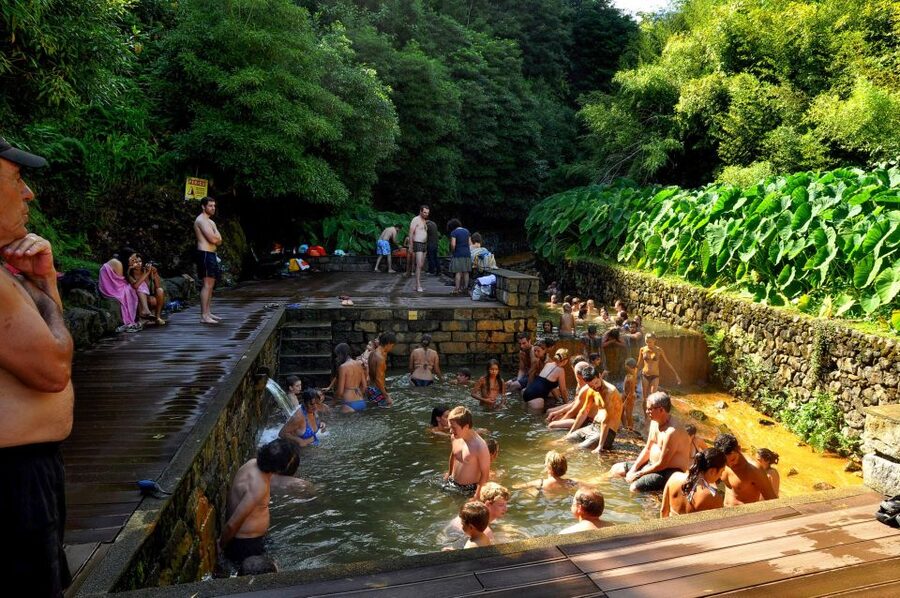 Nordeste: Waterfall, Hot Spring and Viewpoints Full-Day Tour - Terra Nostra Park: garden or hot spring?