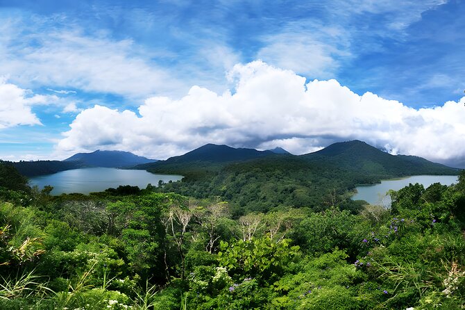North Bali Tour - Visiting Rice Terrace, Lake, Waterfall, Temple and Hot Spring - Tamblingan Lake and the mountain road