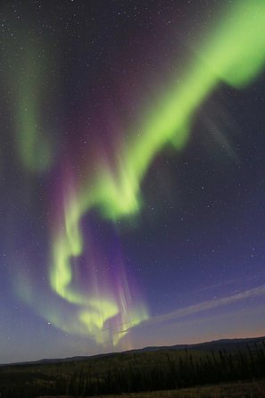 Northern Lights and Chena Hot Springs Night Tour from Fairbanks - Dinner and the resort’s limited facilities