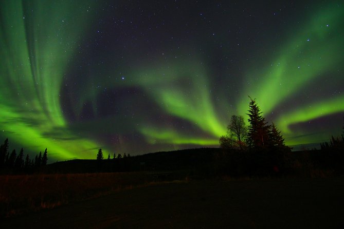 Northern Lights and Chena Hot Springs Night Tour from Fairbanks - Waiting for the northern lights until 2 a.m.