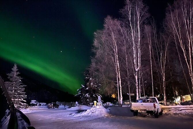 Northern Lights at Chena Hot Springs - Who will enjoy this most?