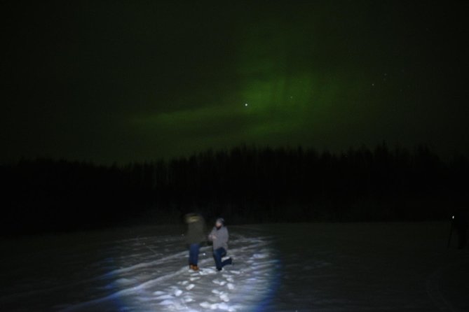 Northern Lights & Chena Hot Springs Tour - Key points to know before booking