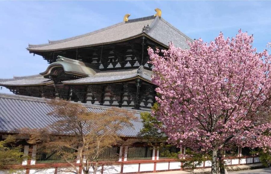 Osaka: Nara and Uji Day Trip with Deer Park and Hot Spring - Key points at a glance
