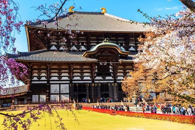 Osaka: Nara, Todaiji, Uji Matcha, and Hot Spring Tour - Why this Osaka day trip works