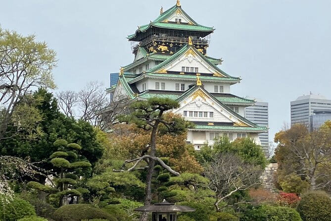 Osaka: Nara, Todaiji, Uji Matcha, and Hot Spring Tour - How the pace affects the experience