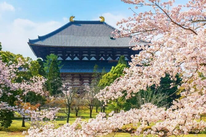 Osaka: Nara, Todaiji, Uji Matcha, and Hot Spring Tour - Starting at Nipponbashi at 8:30