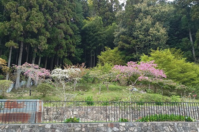 Osaka River Rapids Hike and Natural Hot Spring tour - A useful pause in Settsukyo Park