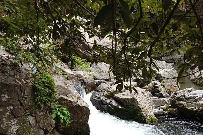 Osaka River Rapids Hike and Natural Hot Spring tour - The guide, group size, and tone of the outing