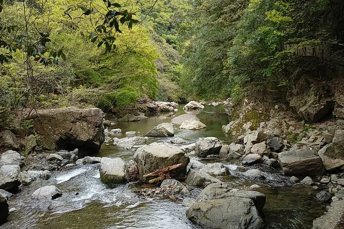 Osaka River Rapids Hike and Natural Hot Spring tour - Walking the 2.1-kilometer route through Settsukyo Gorge
