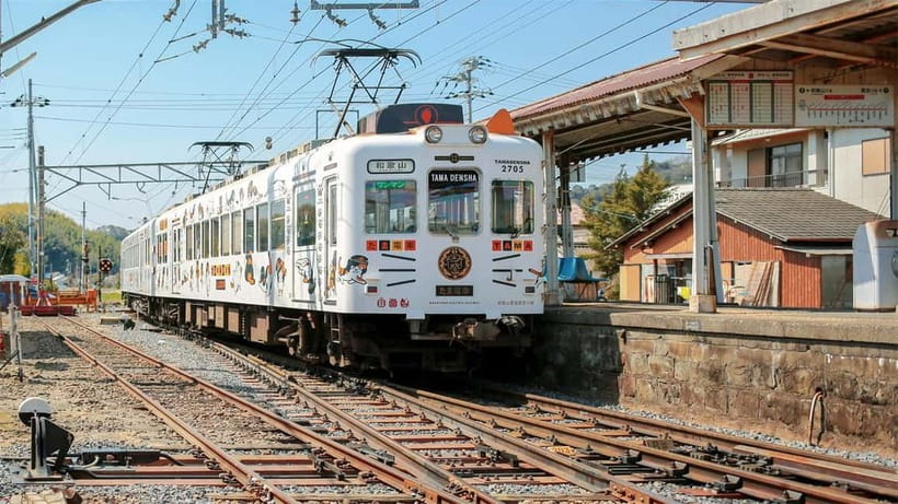 Osaka: Wakayama Cat Train, Seafood market, Hot Springs Tour - From Osaka to Kishi Station and the Tama story